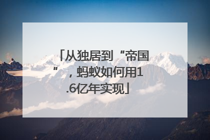 从独居到“帝国”，蚂蚁如何用1.6亿年实现