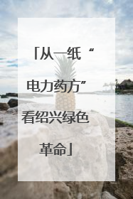 从一纸“电力药方”看绍兴绿色革命