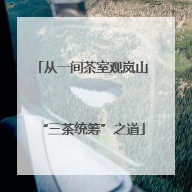 从一间茶室观岚山“三茶统筹”之道