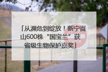 从濒危到绽放！新宁崀山600株“国宝兰”获省级生物保护嘉奖