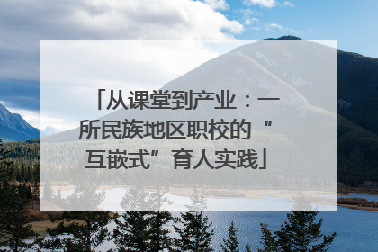 从课堂到产业：一所民族地区职校的“互嵌式”育人实践