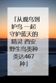 从观鸟到护鸟 一起守护蓝天的精灵 西安野生鸟类种类达467种