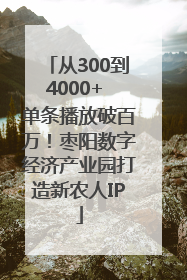 从300到4000+ 单条播放破百万！枣阳数字经济产业园打造新农人IP