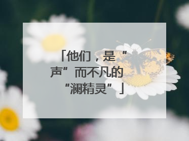 他们，是“声”而不凡的“澜精灵”