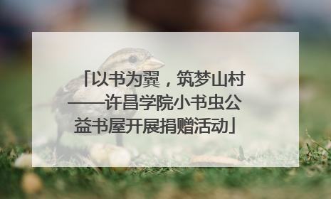 以书为翼，筑梦山村——许昌学院小书虫公益书屋开展捐赠活动