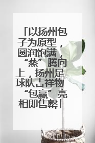 以扬州包子为原型，圆润饱满，“蒸”腾向上，扬州足球队吉祥物“包赢”亮相即售罄