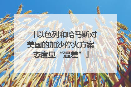 以色列和哈马斯对美国的加沙停火方案态度显“温差”