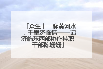 众生丨一脉黄河水，千里济临情——记济临东西部协作挂职干部陈姗姗