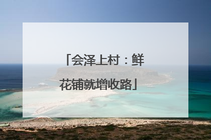 会泽上村：鲜花铺就增收路