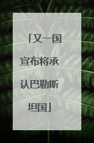 又一国宣布将承认巴勒斯坦国
