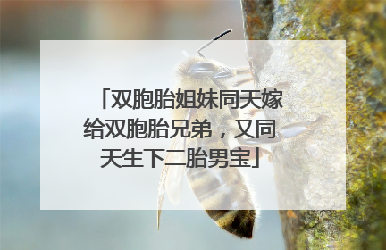 双胞胎姐妹同天嫁给双胞胎兄弟，又同天生下二胎男宝