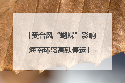 受台风“蝴蝶”影响 海南环岛高铁停运