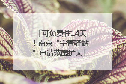 可免费住14天！南京“宁青驿站”申请范围扩大