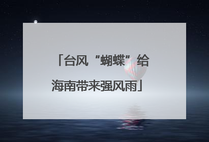 台风“蝴蝶”给海南带来强风雨