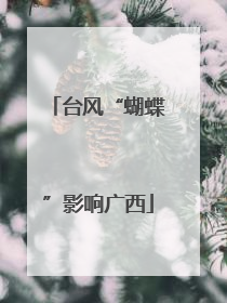 台风“蝴蝶”影响广西
