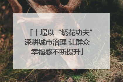 十堰以“绣花功夫”深耕城市治理 让群众幸福感不断提升