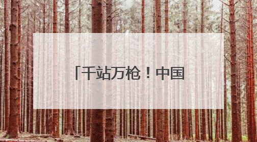 千站万枪！中国石化构建湖北绿色出行新格局