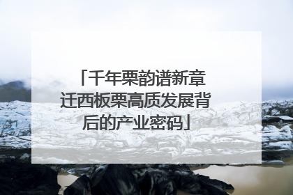 千年栗韵谱新章 迁西板栗高质发展背后的产业密码