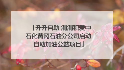 升升自助 涓涓积爱中石化黄冈石油分公司启动自助加油公益项目
