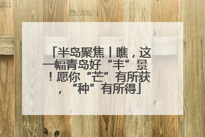 半岛聚焦丨瞧，这一幅青岛好“丰”景！愿你“芒”有所获，“种”有所得