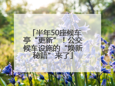 半年50座候车亭“更新”！公交候车设施的“焕新秘籍”来了