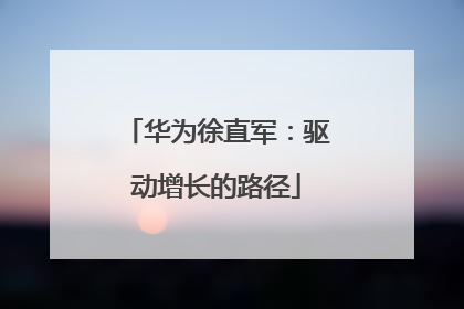 华为徐直军：驱动增长的路径