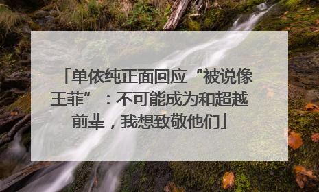 单依纯正面回应“被说像王菲”：不可能成为和超越前辈，我想致敬他们
