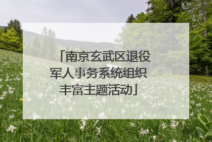 南京玄武区退役军人事务系统组织丰富主题活动