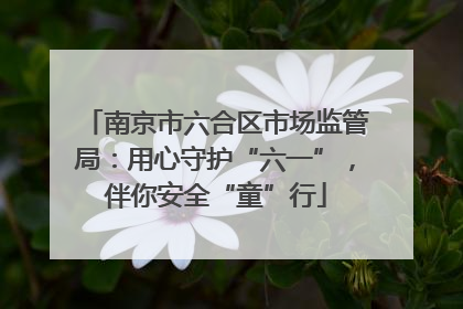 南京市六合区市场监管局：用心守护“六一”，伴你安全“童”行