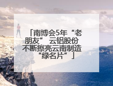 南博会5年“老朋友” 云铝股份不断擦亮云南制造“绿名片”