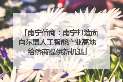 南宁侨商：南宁打造面向东盟人工智能产业高地给侨商提供新机遇