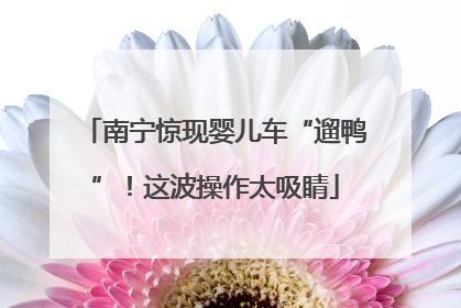 南宁惊现婴儿车“遛鸭”！这波操作太吸睛