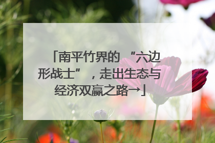 南平竹界的 “六边形战士”，走出生态与经济双赢之路→