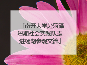 南开大学赴菏泽暑期社会实践队走进杨湖参观交流