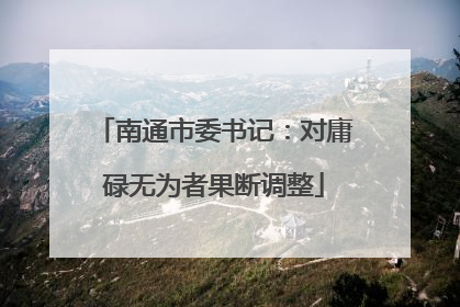 南通市委书记：对庸碌无为者果断调整