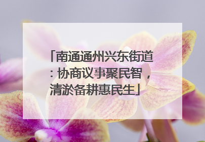 南通通州兴东街道：协商议事聚民智，清淤备耕惠民生