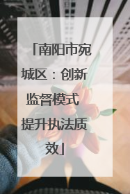 南阳市宛城区：创新监督模式 提升执法质效
