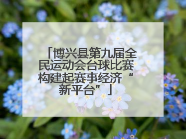 博兴县第九届全民运动会台球比赛构建起赛事经济“新平台”