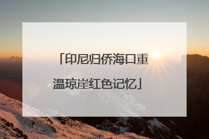 印尼归侨海口重温琼崖红色记忆