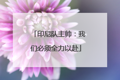 印尼队主帅：我们必须全力以赴