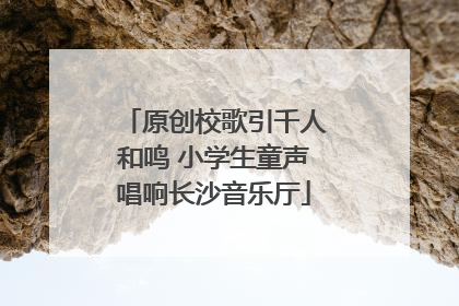 原创校歌引千人和鸣 小学生童声唱响长沙音乐厅