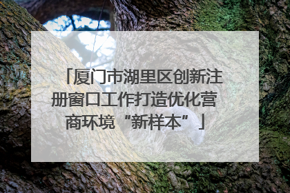 厦门市湖里区创新注册窗口工作打造优化营商环境“新样本”
