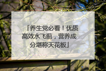 养生党必看！优质高效水飞蓟，营养成分堪称天花板