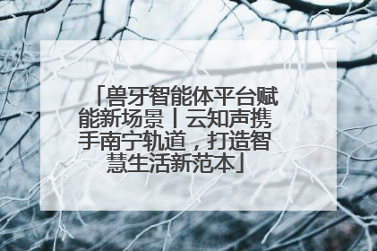 兽牙智能体平台赋能新场景丨云知声携手南宁轨道，打造智慧生活新范本