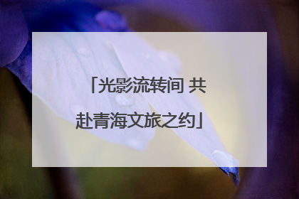 光影流转间 共赴青海文旅之约