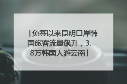 免签以来昆明口岸韩国旅客流量飙升，3.8万韩国人游云南