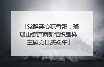 党群连心粽香浓，珞珈山街道两新组织别样主题党日庆端午