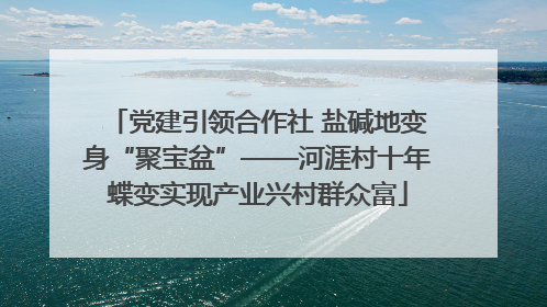 党建引领合作社 盐碱地变身“聚宝盆”——河涯村十年蝶变实现产业兴村群众富