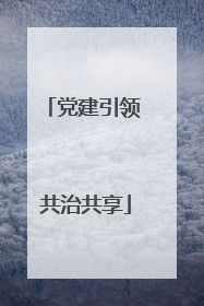 党建引领 共治共享