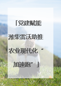 党建赋能 潍柴雷沃助推农业现代化“加速跑”